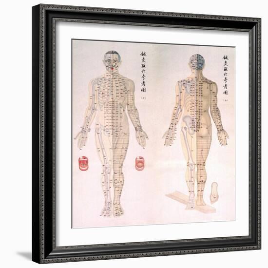 Chinese Chart of Acupuncture Points on a Male Body, 1956-null-Framed Art Print