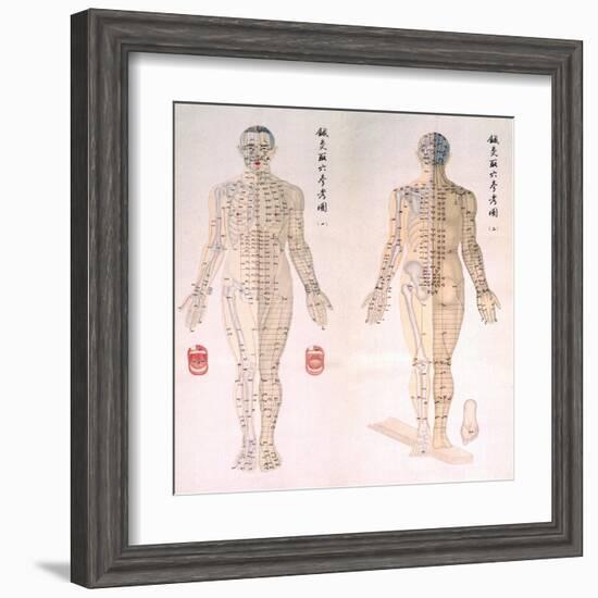 Chinese Chart of Acupuncture Points on a Male Body, 1956-null-Framed Art Print