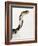 Chinese Cobra-Martin Harvey-Framed Photographic Print