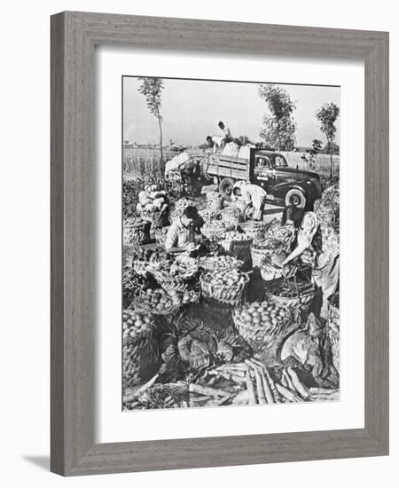 Chinese Cooking; Vegetables for the City of Shanghai, 1959-Chinese Photographer-Framed Photographic Print