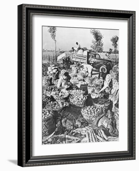 Chinese Cooking; Vegetables for the City of Shanghai, 1959-Chinese Photographer-Framed Photographic Print