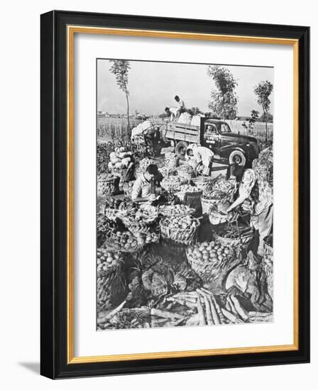 Chinese Cooking; Vegetables for the City of Shanghai, 1959-Chinese Photographer-Framed Photographic Print