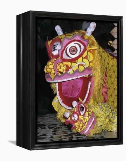 Chinese Dragon Dance at Chinese New Year Celebrations, Vietnam, Indochina, Southeast Asia, Asia-Stuart Black-Framed Premier Image Canvas
