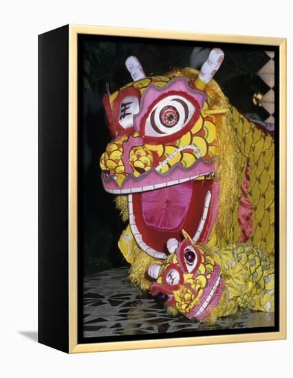 Chinese Dragon Dance at Chinese New Year Celebrations, Vietnam, Indochina, Southeast Asia, Asia-Stuart Black-Framed Premier Image Canvas