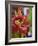 Chinese Dragon, Kuala Lumpur, Malaysia-Jon Arnold-Framed Photographic Print