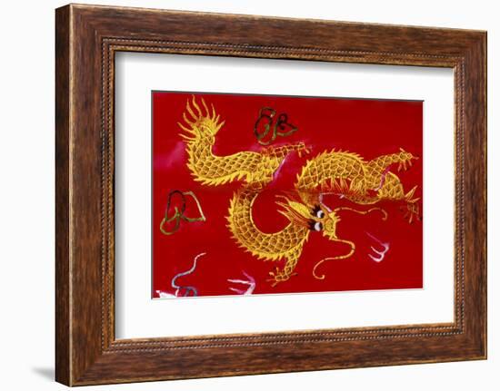 Chinese Dragon, Shenzen, China-Dallas and John Heaton-Framed Premium Photographic Print