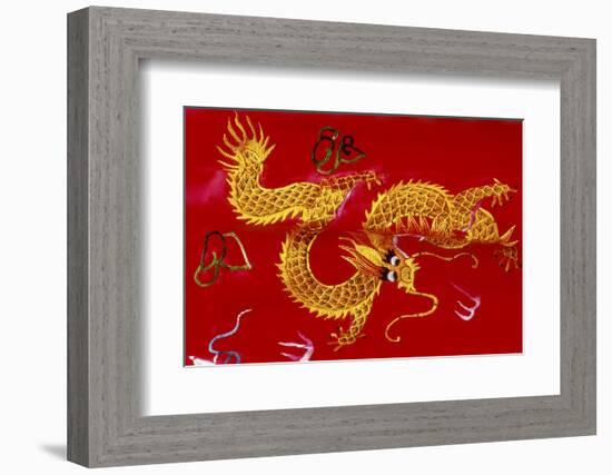 Chinese Dragon, Shenzen, China-Dallas and John Heaton-Framed Photographic Print