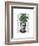 Chinese Evergreen Head Plant Head-Fab Funky-Framed Art Print