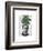 Chinese Evergreen Head Plant Head-Fab Funky-Framed Art Print