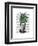 Chinese Evergreen Head Plant Head-Fab Funky-Framed Art Print