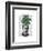 Chinese Evergreen Head Plant Head-Fab Funky-Framed Art Print