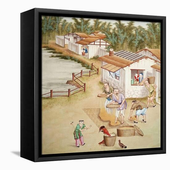 Chinese Farmers Sieving Rice-null-Framed Premier Image Canvas