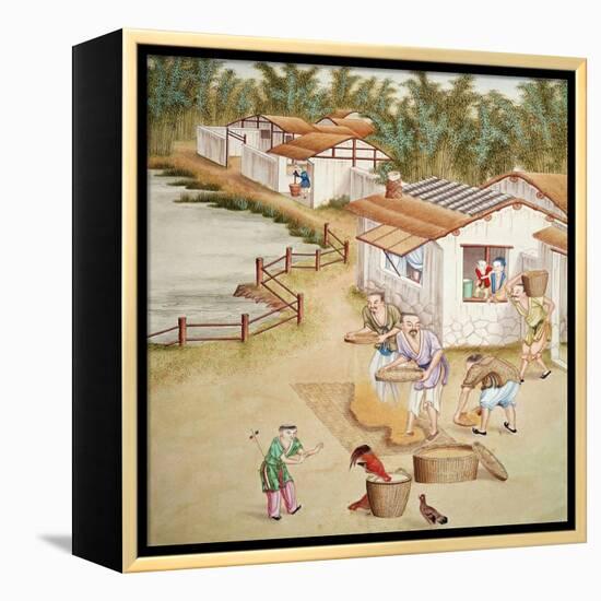 Chinese Farmers Sieving Rice-null-Framed Premier Image Canvas