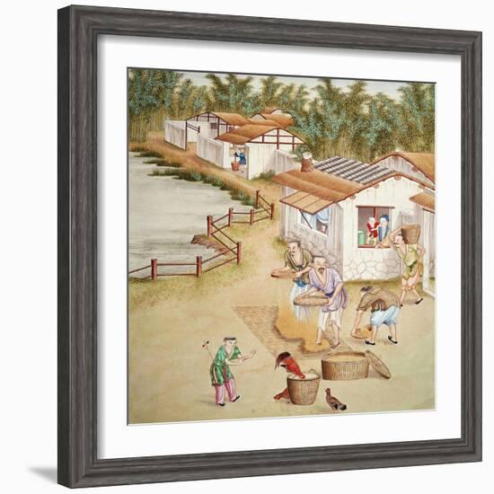 Chinese Farmers Sieving Rice-null-Framed Giclee Print