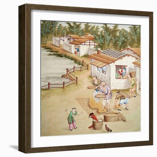 Chinese Farmers Sieving Rice-null-Framed Giclee Print