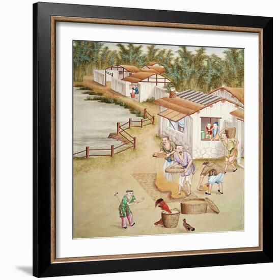 Chinese Farmers Sieving Rice-null-Framed Giclee Print