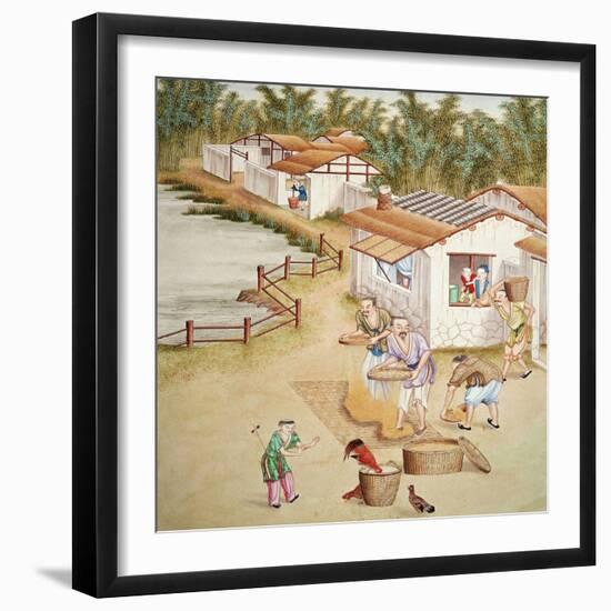 Chinese Farmers Sieving Rice--Framed Giclee Print