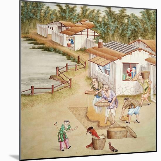 Chinese Farmers Sieving Rice-null-Mounted Giclee Print