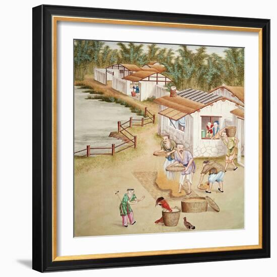 Chinese Farmers Sieving Rice-null-Framed Giclee Print