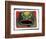 Chinese Horoscope: the Sign of the Dragon.-Patrizia La Porta-Framed Giclee Print