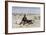 Chinese Immigrant Dying of Thirst in the Mohave Desert, 1800s-null-Framed Giclee Print