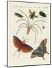 Chinese Insects-null-Mounted Giclee Print