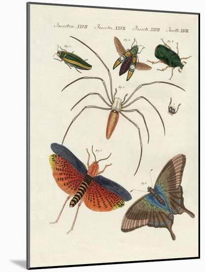 Chinese Insects-null-Mounted Giclee Print
