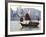 Chinese Junk Boat Sails on Victoria Harbour, Hong Kong, China, Asia-Amanda Hall-Framed Photographic Print