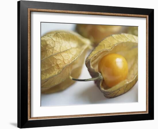 Chinese Lantern Fruit-Lee Frost-Framed Photographic Print