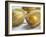 Chinese Lantern Fruit-Lee Frost-Framed Photographic Print