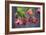 Chinese Lantern I-Rita Crane-Framed Photographic Print