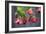 Chinese Lantern I-Rita Crane-Framed Photographic Print