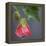 Chinese Lantern III-Rita Crane-Framed Premier Image Canvas