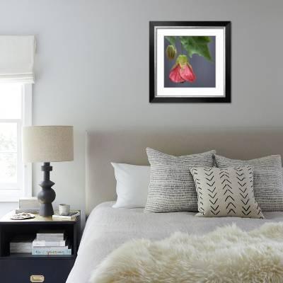 Chinese Lantern Iii Photographic Print By Rita Crane Art Com