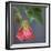 Chinese Lantern III-Rita Crane-Framed Photographic Print