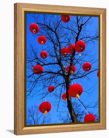 Chinese Lanterns Hanging from Trees in Tivoli Gardens, Copenhagen, Denmark-Izzet Keribar-Framed Premier Image Canvas