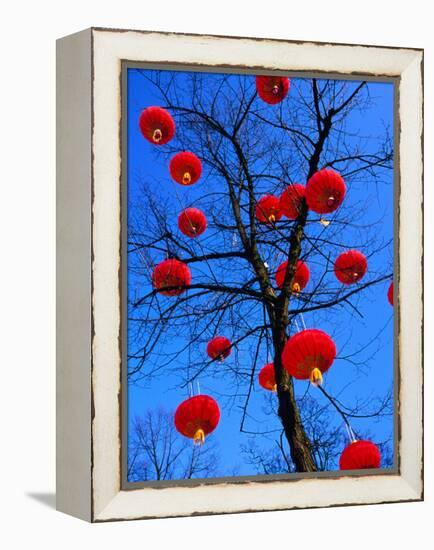 Chinese Lanterns Hanging from Trees in Tivoli Gardens, Copenhagen, Denmark-Izzet Keribar-Framed Premier Image Canvas