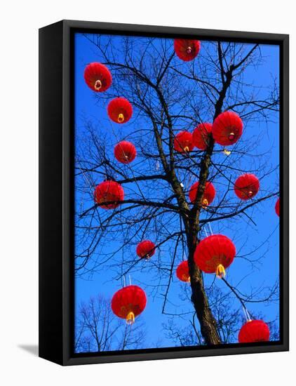 Chinese Lanterns Hanging from Trees in Tivoli Gardens, Copenhagen, Denmark-Izzet Keribar-Framed Premier Image Canvas