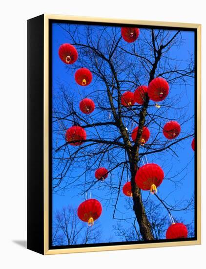 Chinese Lanterns Hanging from Trees in Tivoli Gardens, Copenhagen, Denmark-Izzet Keribar-Framed Premier Image Canvas