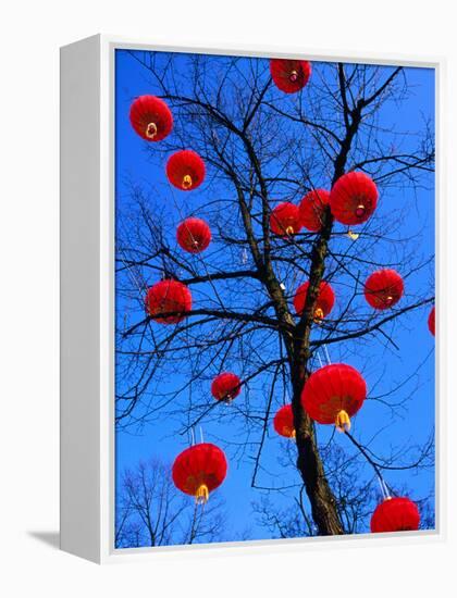 Chinese Lanterns Hanging from Trees in Tivoli Gardens, Copenhagen, Denmark-Izzet Keribar-Framed Premier Image Canvas