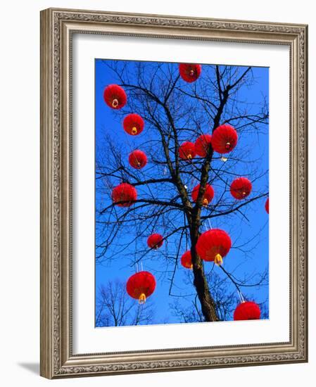 Chinese Lanterns Hanging from Trees in Tivoli Gardens, Copenhagen, Denmark-Izzet Keribar-Framed Photographic Print