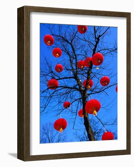 Chinese Lanterns Hanging from Trees in Tivoli Gardens, Copenhagen, Denmark-Izzet Keribar-Framed Photographic Print