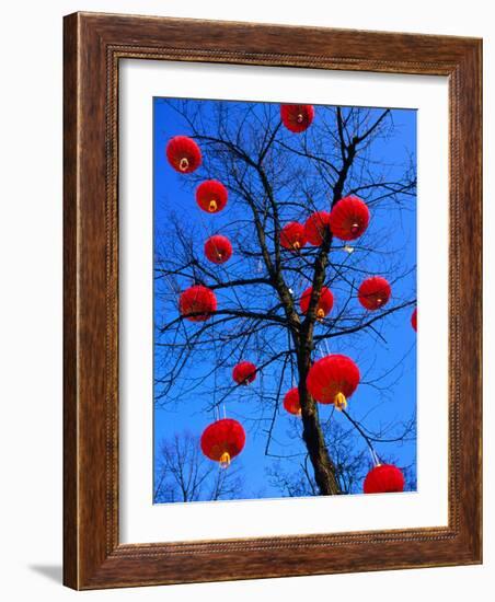 Chinese Lanterns Hanging from Trees in Tivoli Gardens, Copenhagen, Denmark-Izzet Keribar-Framed Photographic Print