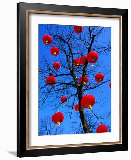 Chinese Lanterns Hanging from Trees in Tivoli Gardens, Copenhagen, Denmark-Izzet Keribar-Framed Photographic Print