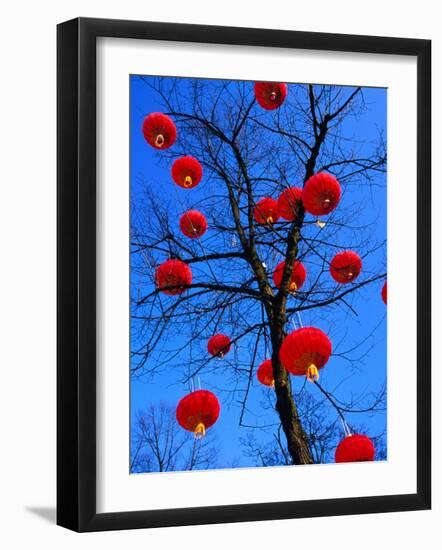 Chinese Lanterns Hanging from Trees in Tivoli Gardens, Copenhagen, Denmark-Izzet Keribar-Framed Photographic Print