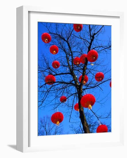 Chinese Lanterns Hanging from Trees in Tivoli Gardens, Copenhagen, Denmark-Izzet Keribar-Framed Photographic Print