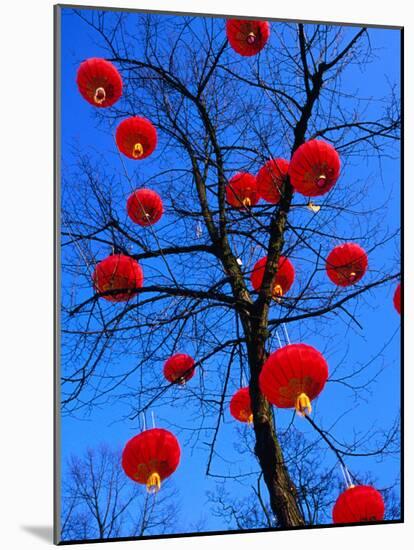 Chinese Lanterns Hanging from Trees in Tivoli Gardens, Copenhagen, Denmark-Izzet Keribar-Mounted Photographic Print