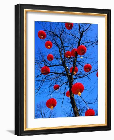 Chinese Lanterns Hanging from Trees in Tivoli Gardens, Copenhagen, Denmark-Izzet Keribar-Framed Photographic Print