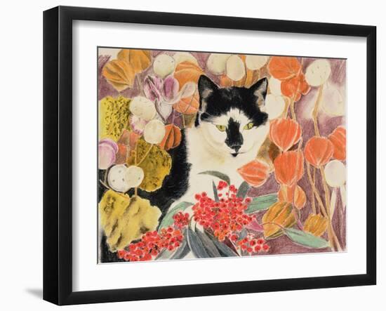 Chinese Lanterns-Anne Robinson-Framed Giclee Print