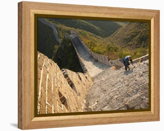 Chinese Man Climbs Great Wall of China, UNESCO World Heritage Site, Huanghuacheng (Yellow Flower) a-Kimberly Walker-Framed Premier Image Canvas